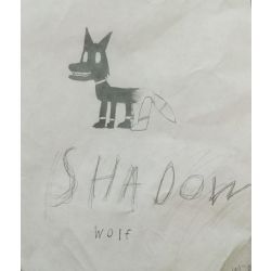 Interview with Shadow - Quiz | Quotev