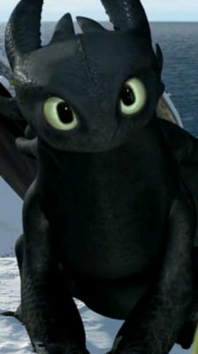 How Much Do Ya Kno About Toothless - Test 