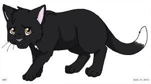 Ravenpaw! : r/WarriorCats