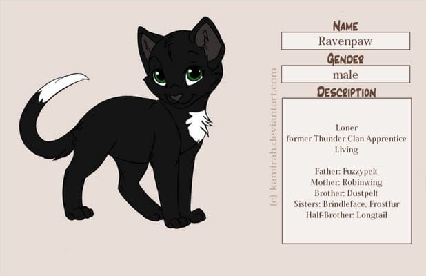 Warrior Cats OC Generator - Quiz