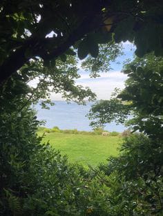 Disney Wedding Quiz Quotev