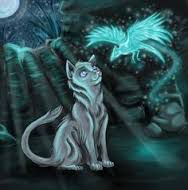 Jayfeather as a Kittypet