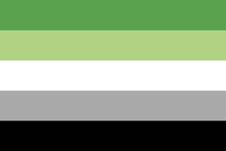 Lgbtqia+ flag quiz - Test | Quotev