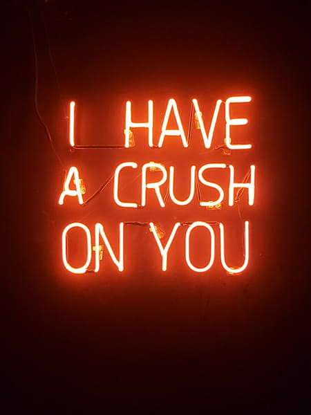 does-your-crush-like-you-quiz-quotev