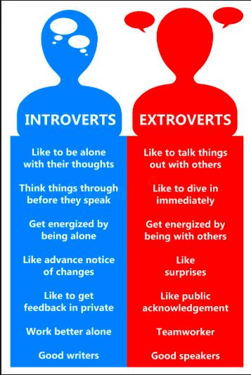 Are you an Introvert or Extrovert - Quiz