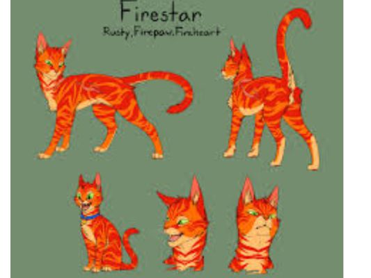 Fireworks (Firestar X Kittypet! Reader)