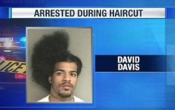 Funny and Stupid News Articles - Quiz Funny and Stupid News Articles - Quiz