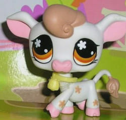 Littlest pet shop hot sale quiz