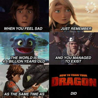 Httyd memes - Quiz | Quotev