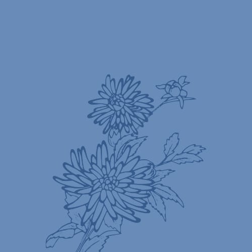 which crankgameplays ego are you Quiz Quotev