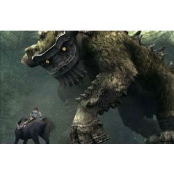 Let's go! SotC on the SteamDeck! : r/ShadowoftheColossus