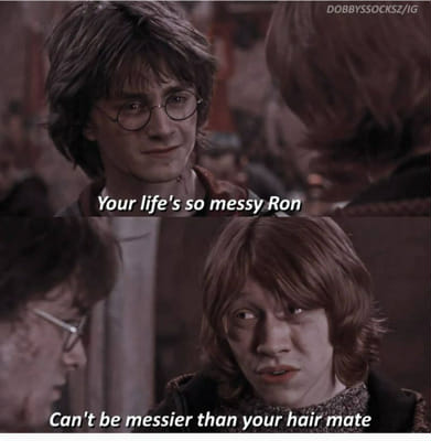 A humorous harry potter meme with ron weasley and hermione granger