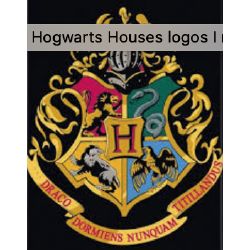 What Hogwarts house are you in? - Quiz | Quotev