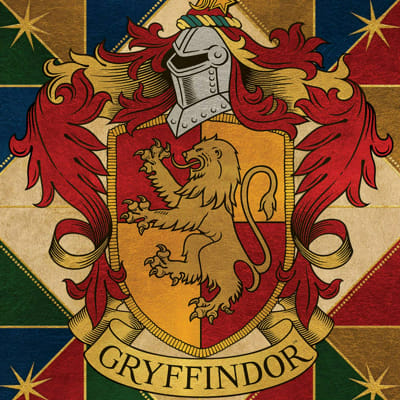 Your Hogwarts Life - Quiz | Quotev