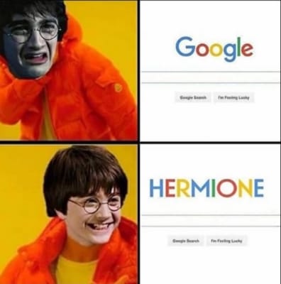 Hermione beeing hermione  Harry potter memes, Harry potter funny, Harry  potter hermione