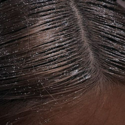 Which Euphoria girl are you :) - Quiz | Quotev