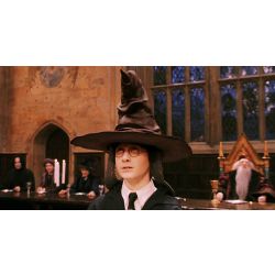 The Sorting Hat - Quiz | Quotev