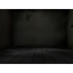 Asylum (RP) - Quiz | Quotev