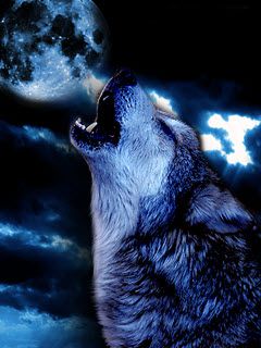 What's Your Wolf Name? - Quiz | Quotev