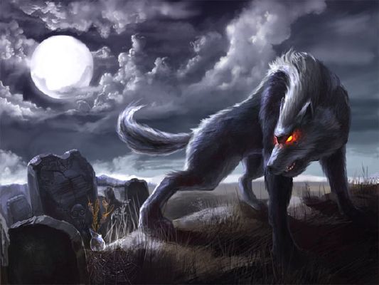550 Demon Wolf Stock Photos Pictures  RoyaltyFree Images  iStock