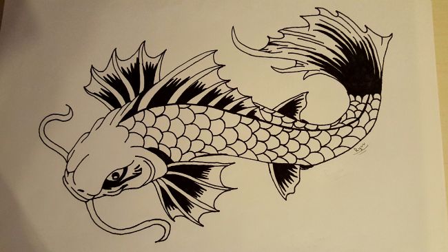 Koi Fish / 8x8 Art Print of Original Ink Drawing / - Etsy