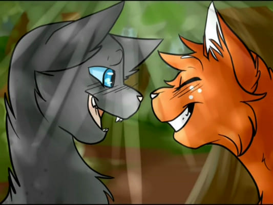 Warrior Cats What If's?