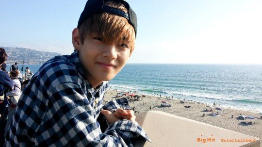 who-should-be-your-bts-bias-quiz-quotev