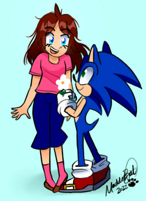 Love For Speed (Sonic X Reader)  Sonic and shadow, Sonic heroes, Sonic