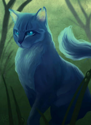 Who is this? (Warrior Cats Arc 1 Edition) - Test | Quotev