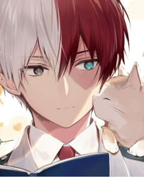 Shouto Todoroki Quizzes