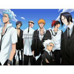 What Captain Is Your Bf/Gf (Bleach)? - ProProfs Quiz