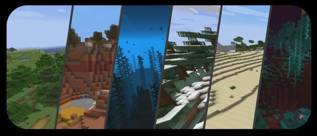The End (biome) – Minecraft Wiki