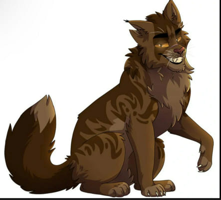 How Well Do You Know ex-Tigerstar? - Test | Quotev