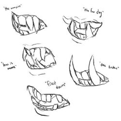 Which type of fangs is your favourite and which would be most effective? :  r/vampires