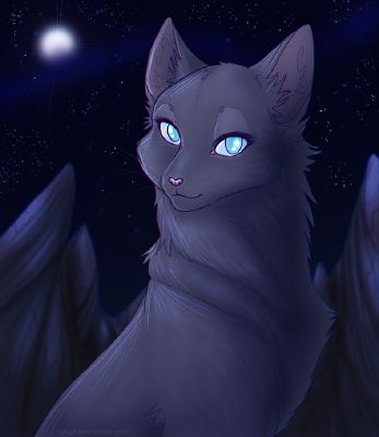 Warrior Cats Explained: Bluestar, Why Did her Faith Fall? by