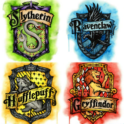 What is your Hogwarts house? - Quiz | Quotev