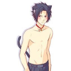 sasuke neko