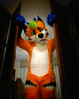 What is your fursona? (A furry test) - Quiz