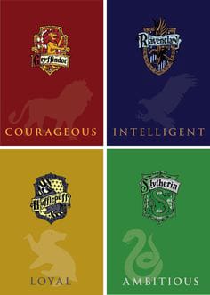 Your Hogwarts Life (Considerably Long Results) - Quiz | Quotev