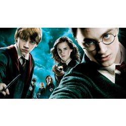 Who Is your Harry Potter boyfriend? (Story Included) - Quiz | Quotev