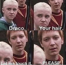 Harry Potter Memes - Draco is too hot for school