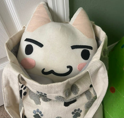 Торо котик