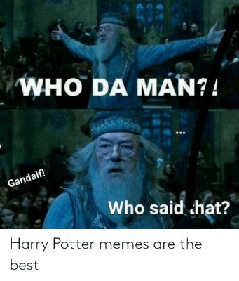 I love HP memes! 😂😁