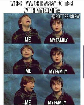 The Best, Funniest, and Most Ridiculous Harry Potter Memes to Come Out of  J.K. Rowling's Wizarding World