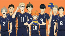 Haikyuu: Karasuno Volleyball Team Quiz