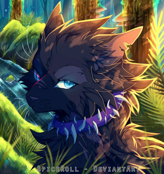 What's your warrior cat suffix? Quiz