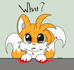 Tails Doll Quizzes