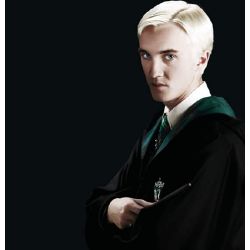 Draco's Girl or Friend? - Quiz | Quotev