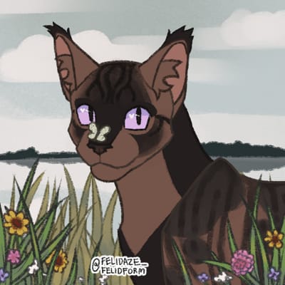 Name Warrior Cats I Made on Picrew - Survey | Quotev