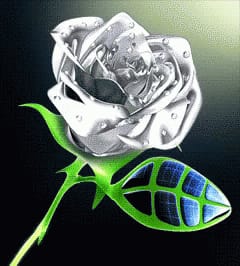 The Silver Rose | Quotev